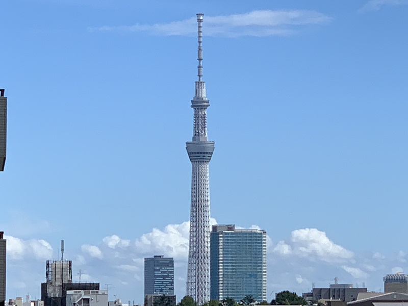 坂井美里 税理士 事務所 東京都 文京区 千駄木