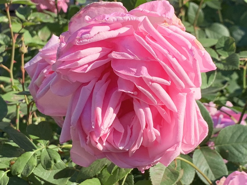 坂井美里 税理士 事務所 東京都 文京区 千駄木 坂井美里