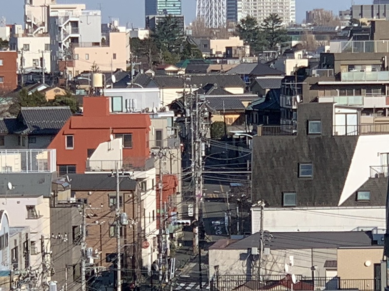 坂井美里 税理士 事務所 東京都 文京区 千駄木