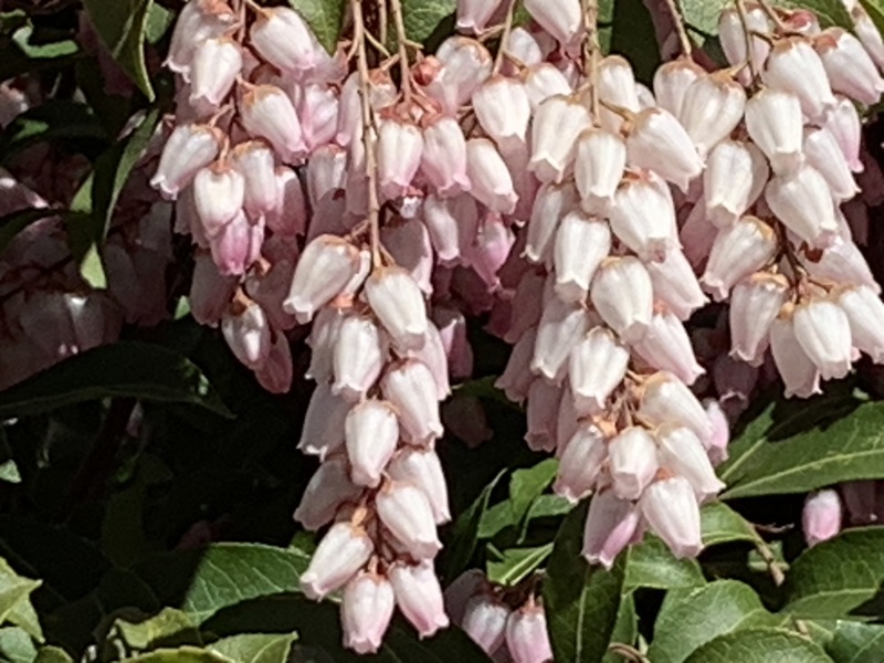 坂井美里 税理士 事務所 東京都 文京区 千駄木 坂井美里