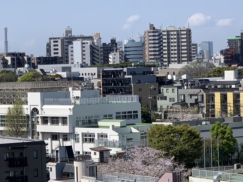 坂井美里 税理士 事務所 東京都 文京区 千駄木