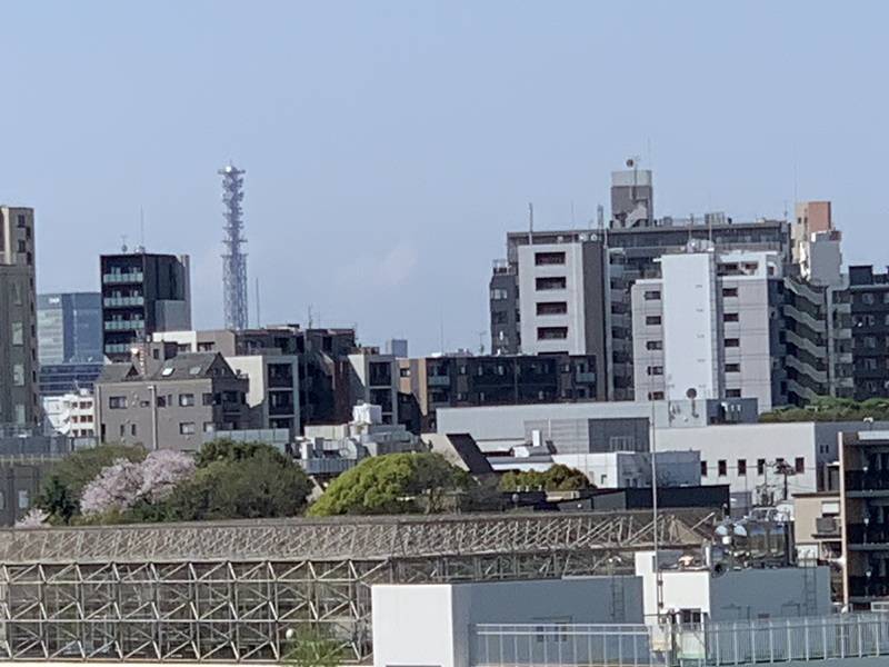 坂井美里 税理士 事務所 東京都 文京区 千駄木