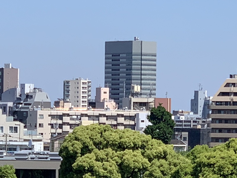 坂井美里 税理士 事務所 東京都 文京区 千駄木