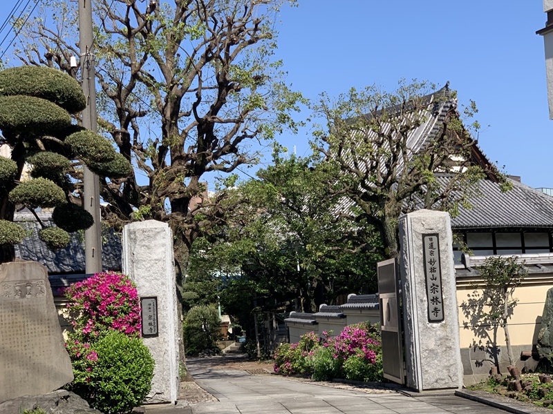 坂井美里 税理士 事務所 東京都 文京区 千駄木