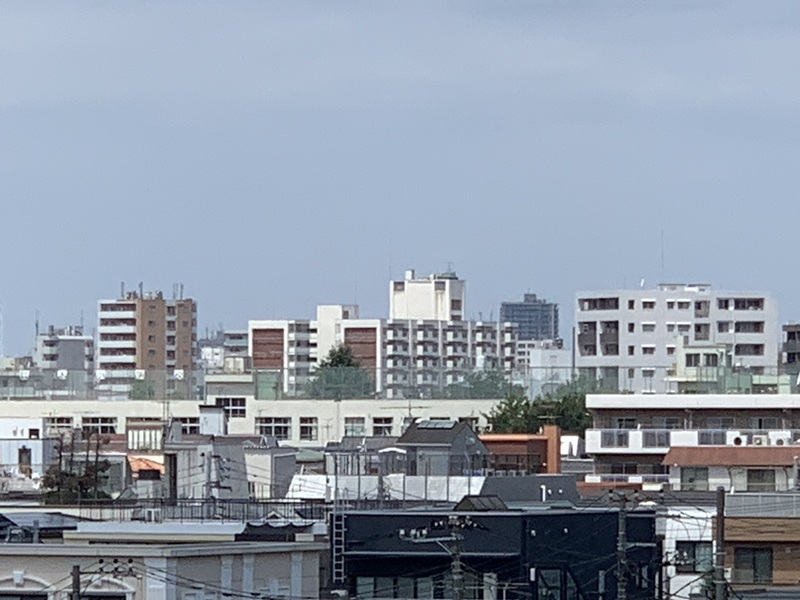 坂井美里 税理士 事務所 東京都 文京区 千駄木